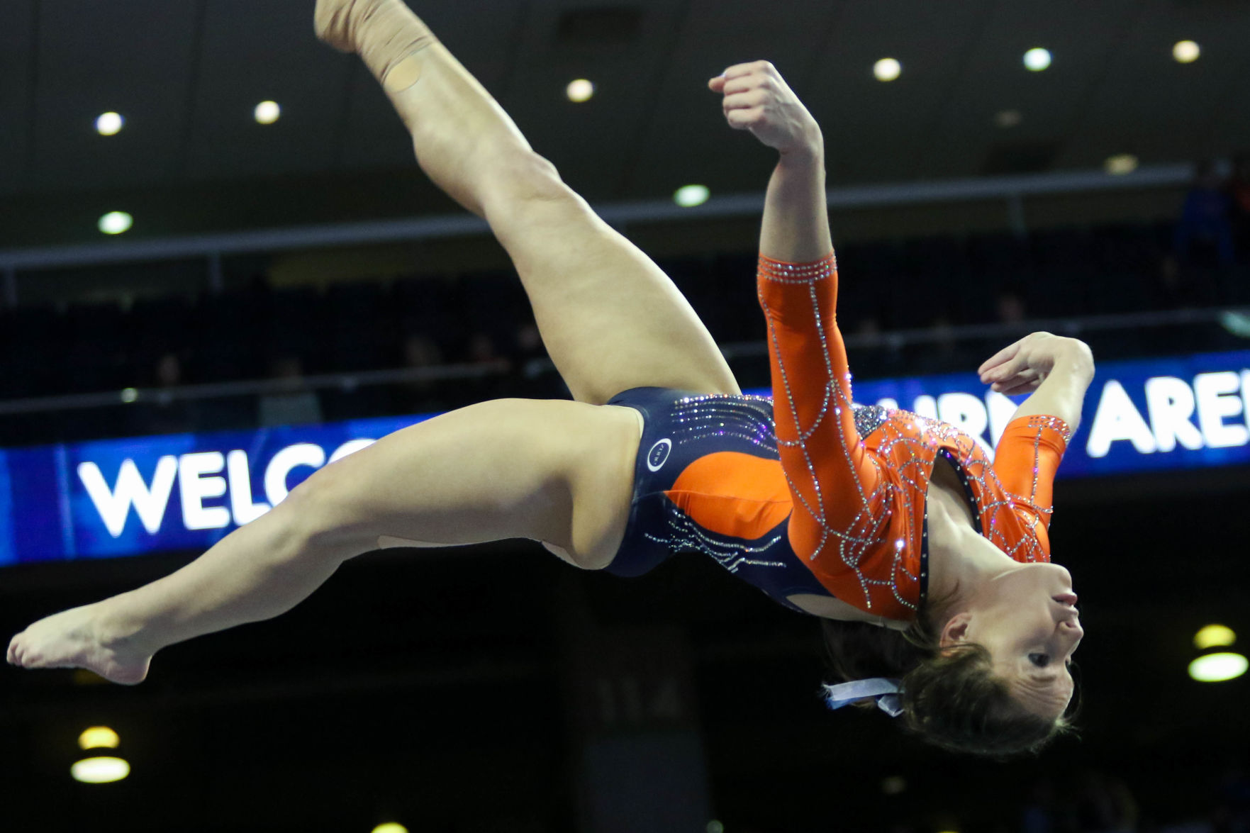 Auburn vs. Kentucky gymnastics
